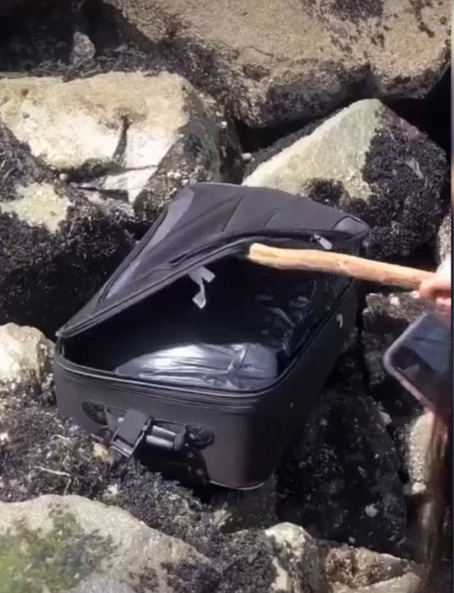 l'heure du cri tiktok aventure