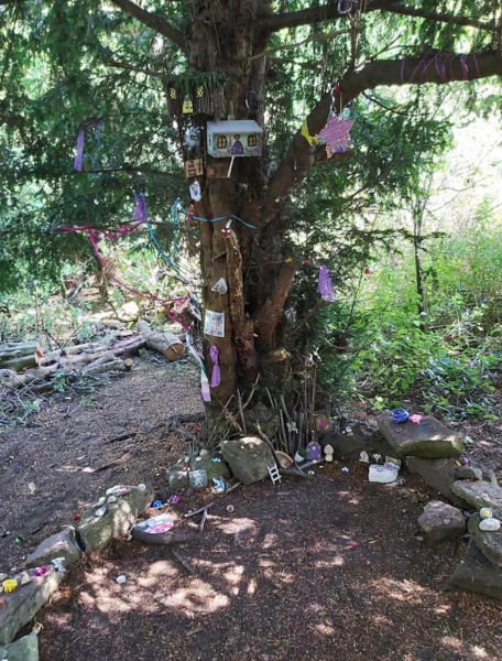 randonautica inexplicable l'heure du cri